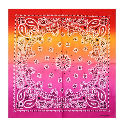 Paisley Print Bandana - Cowboy Outpost