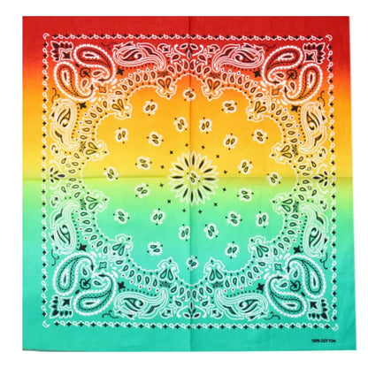 Paisley Print Bandana - 03 - Cowboy Outpost