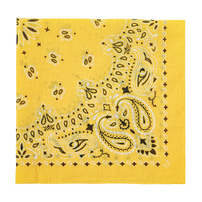 Square Cotton Paisley Bandana - Cowboy Outpost