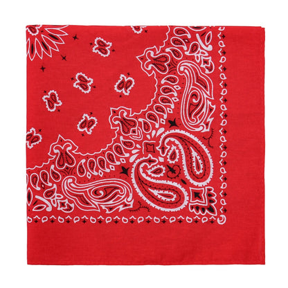 Square Cotton Paisley Bandana - caolv - Cowboy Outpost
